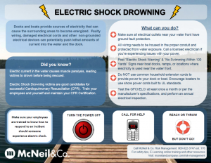 Electric Shock Drowning