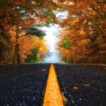 Fall Driving Safety